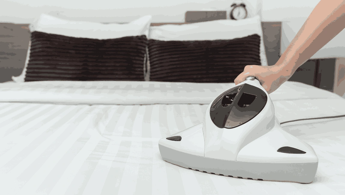 Professional Mattress Cleaning Warrandyte